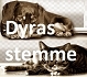 Dyras Senter