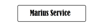 Marius Service Smaleckas